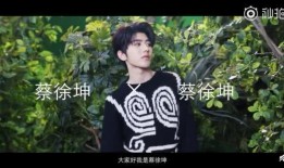 蔡徐坤的新爆料视频,幕后故事与成长历程