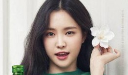 apink最新爆料,最新爆料引粉丝热议！